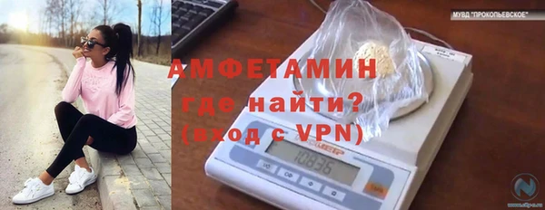прущие грибы Мамадыш