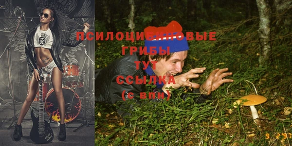 мет Лагань